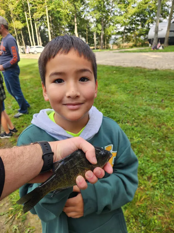 Trail Life troop OH-0317